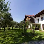 Apartman B33